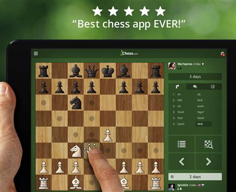 online chess betting app - chess aplicativo